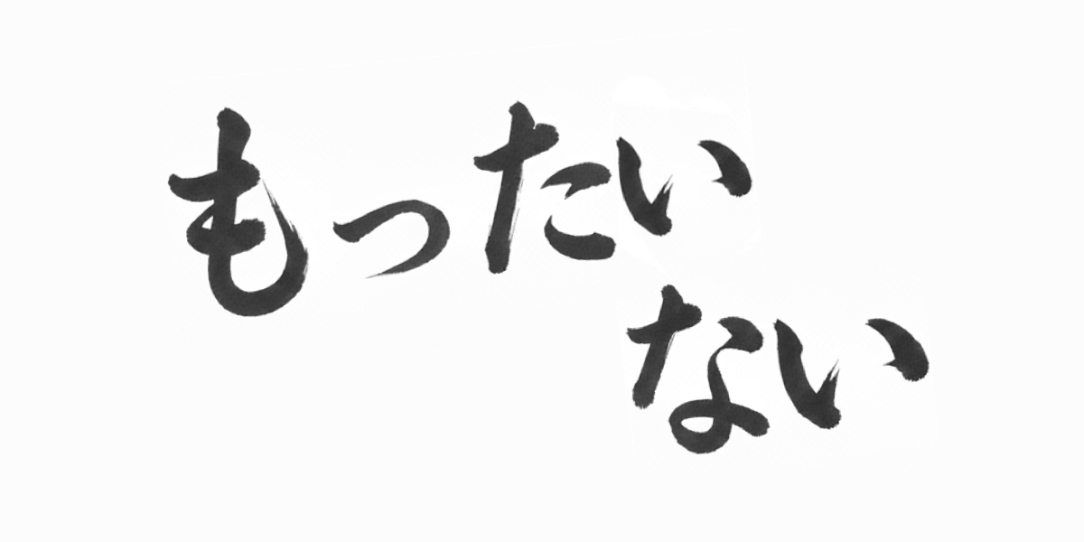 Authentic Japanese calligraphy of the word 'Mottainai' in black ink, representing the philosophy of sustainability and mindful consumption.